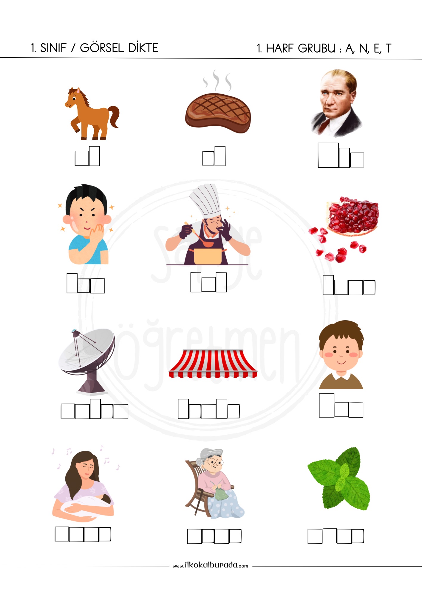 1. Sınıf A,N,E,T - Harf Kutulu Görsel Dikte
